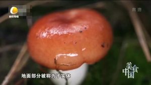 剧来风 20230204